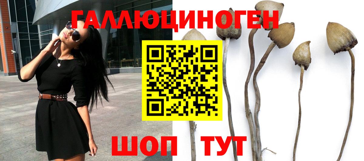 Михайловка  Галлюциногенные грибы мухоморы  Вход с VPN 