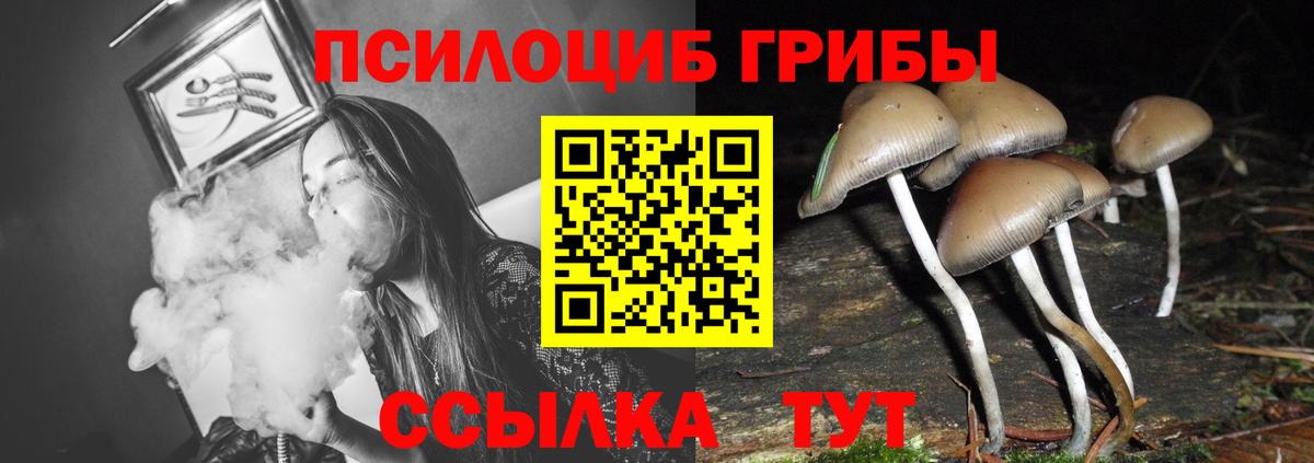 Галлюциногенные грибы GOLDEN TEACHER Михайловка