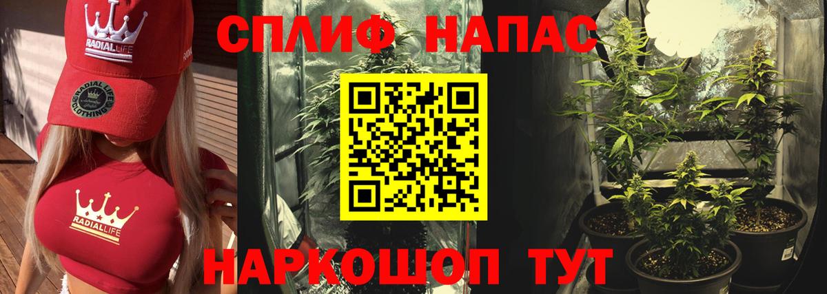 Бошки Шишки ГИДРОПОН Михайловка